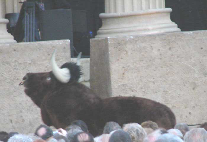 Andre Rieu concerts in Maastricht July 2006